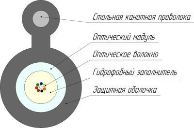 ОКТ ТС